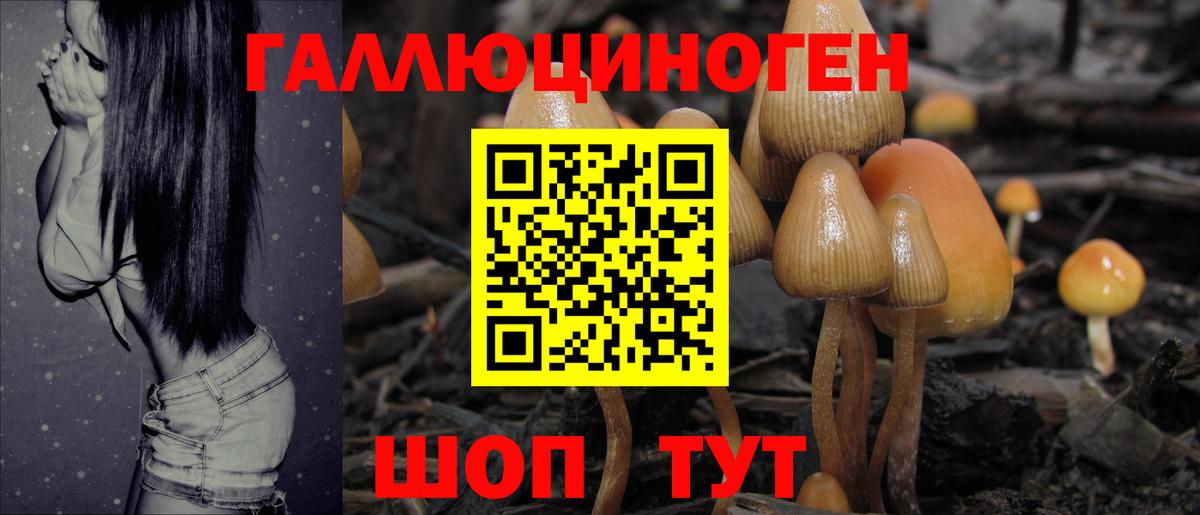 Орёл  Галлюциногенные грибы мухоморы  Псилоцибиновые грибы мухоморы  Вход с VPN 